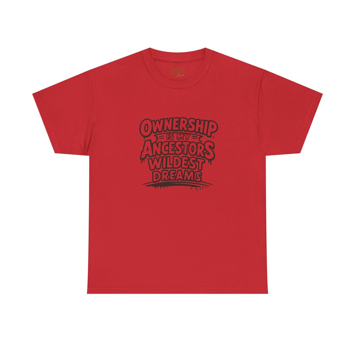 Ownership Is My Ancestors Wildest Dreams T-Shirt