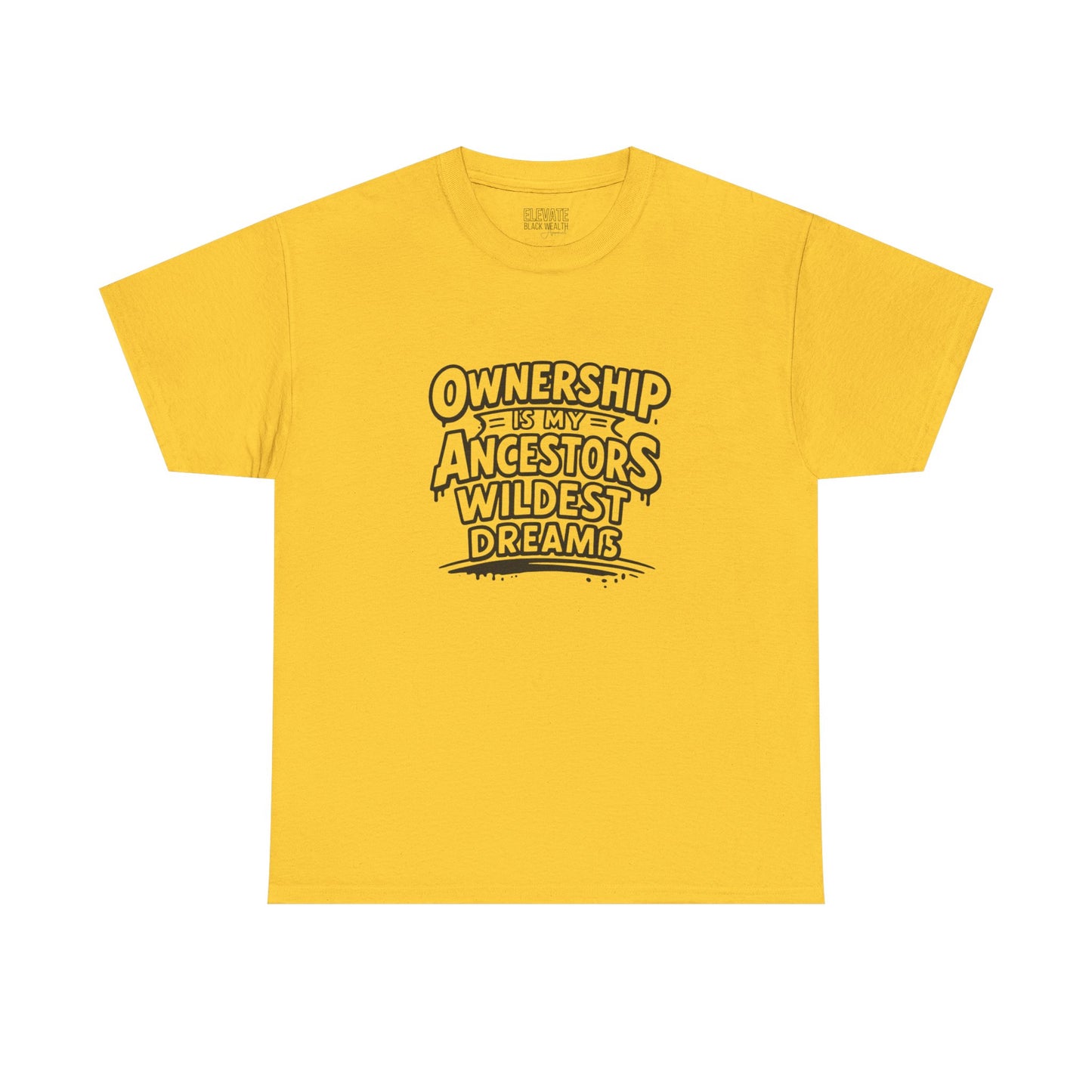 Ownership Is My Ancestors Wildest Dreams T-Shirt