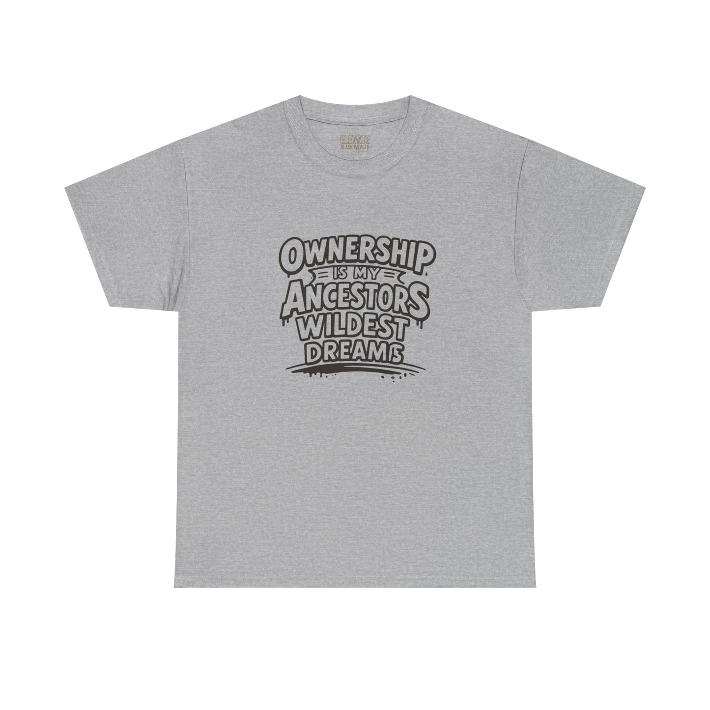 Ownership Is My Ancestors Wildest Dreams T-Shirt
