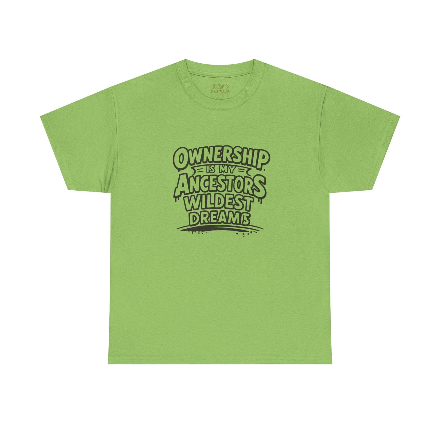 Ownership Is My Ancestors Wildest Dreams T-Shirt