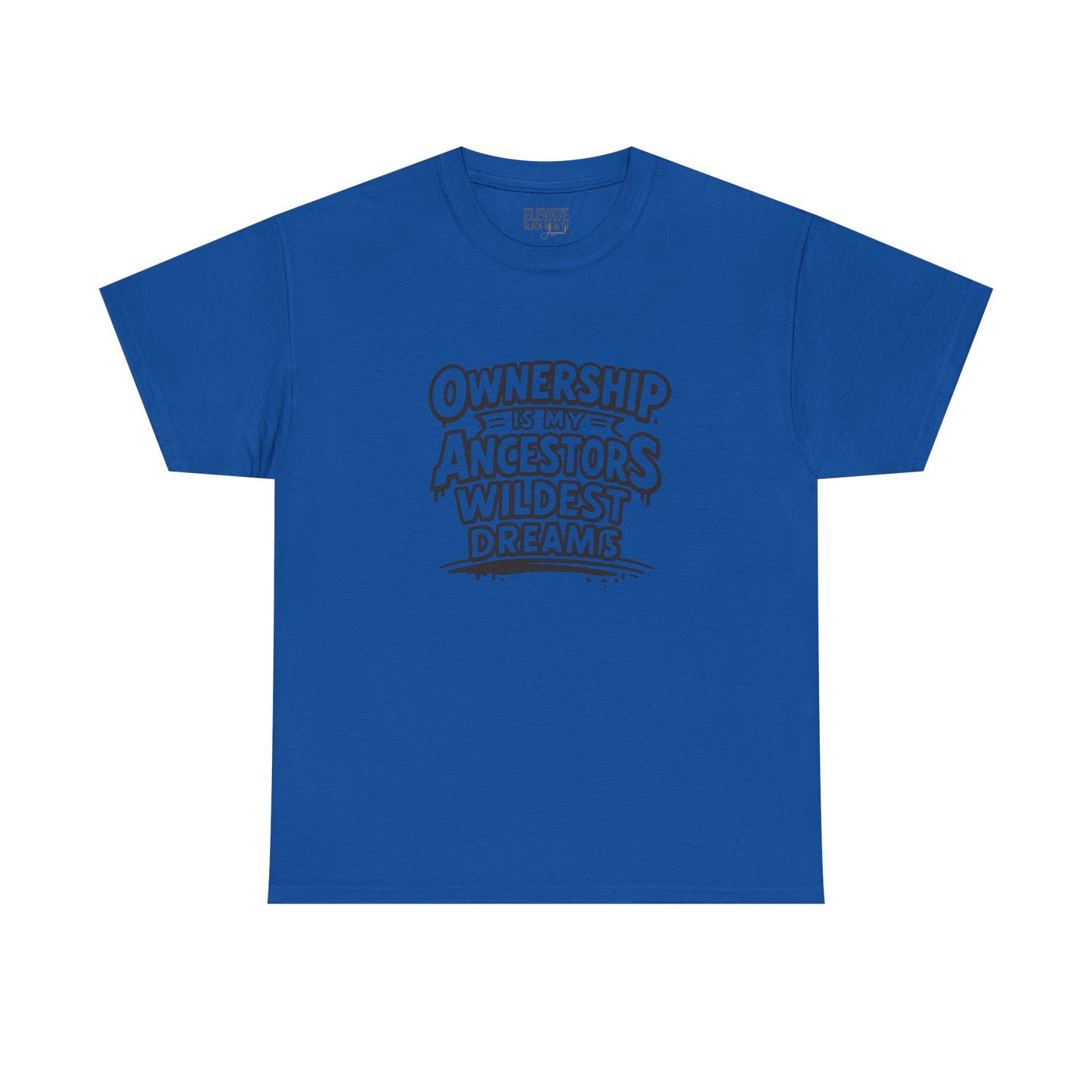 Ownership Is My Ancestors Wildest Dreams T-Shirt