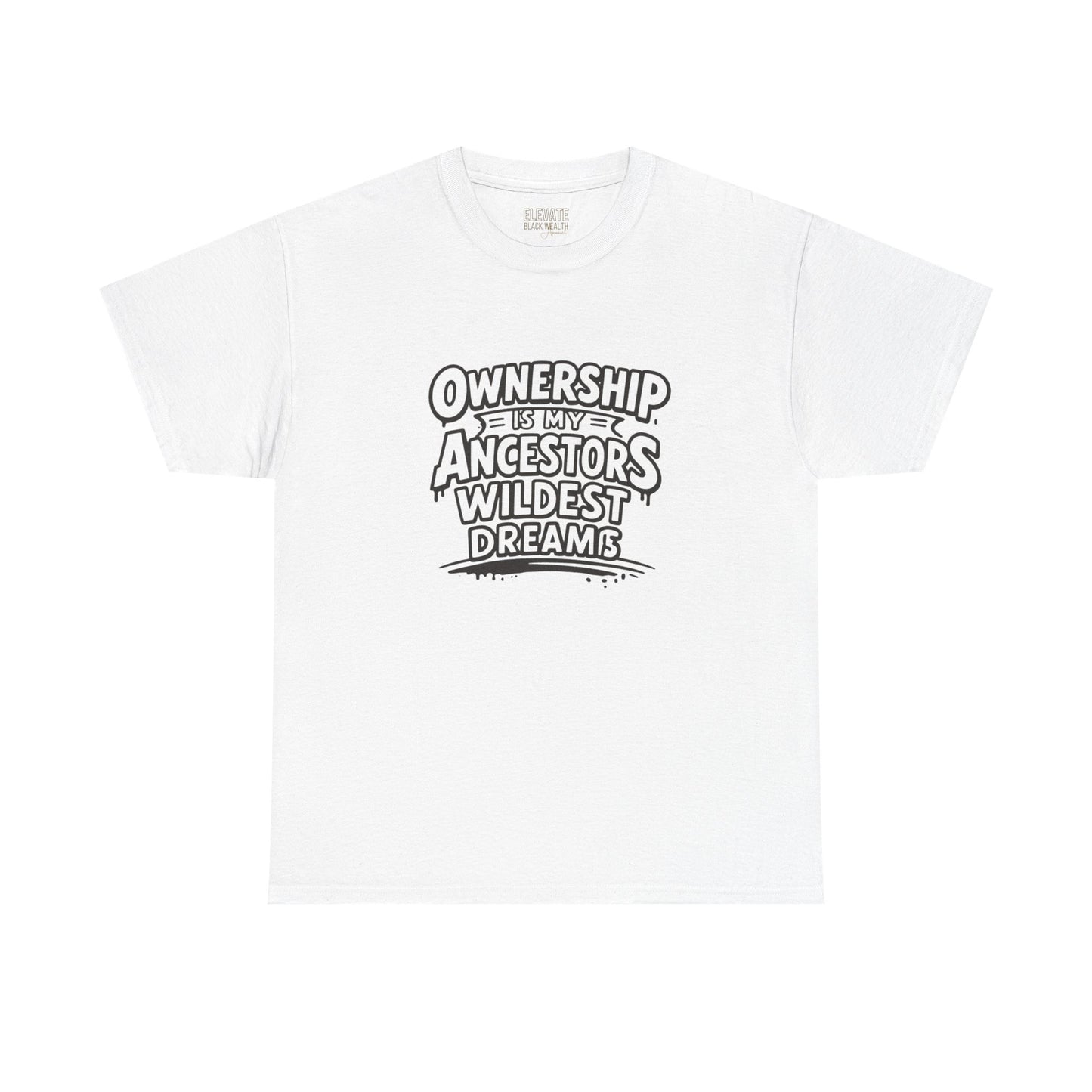Ownership Is My Ancestors Wildest Dreams T-Shirt
