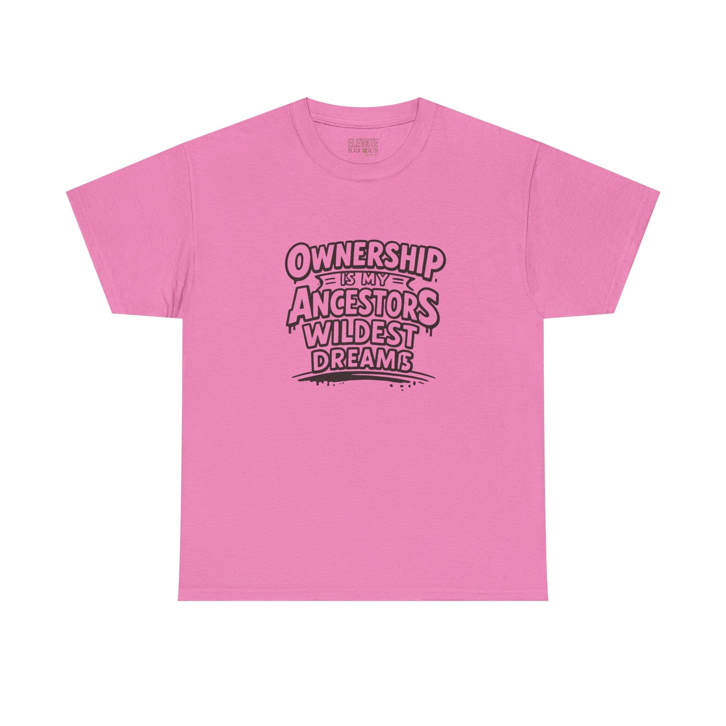 Ownership Is My Ancestors Wildest Dreams T-Shirt